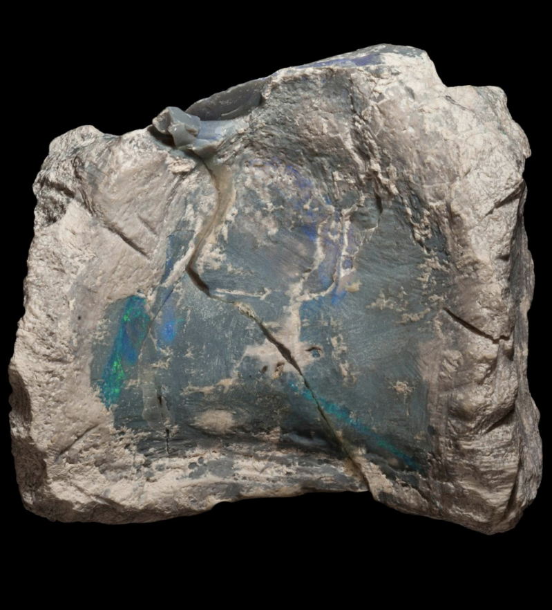 spectacular opal laced fossils reveal previously unknown australian dinosaur 587540 