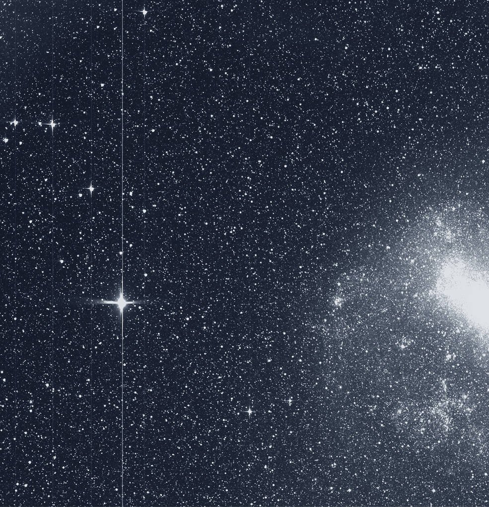 An image from TESS's first round of data collection. (TESS/NASA)