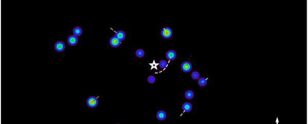 In the Extreme Space of Our Galaxy's Centre, General Relativity Has Passed a Huge Test