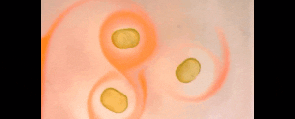 We now have the first-ever permanently magnetic liquid, and it's absolutely trippy