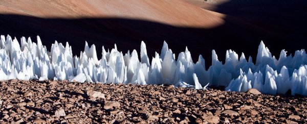 Eerie ice 'spires' harbor life forms in one of the harshest environments on Earth