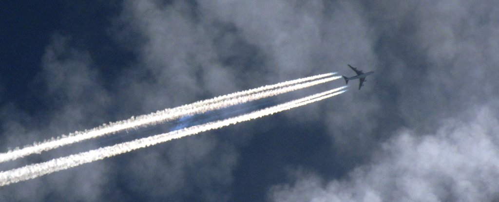 www.sciencealert.com