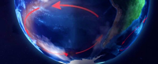 There's a 'desert' in the middle of the Pacific. Here's what lives there