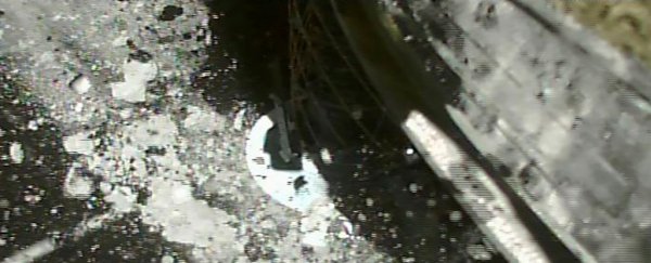 Japan just landed a spacecraft on an asteroid, and the photos are nuts