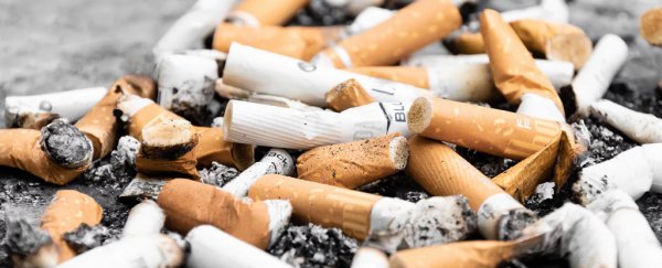 Cigarette butts are a huge trash issue, and now we know they're harming plant growth
