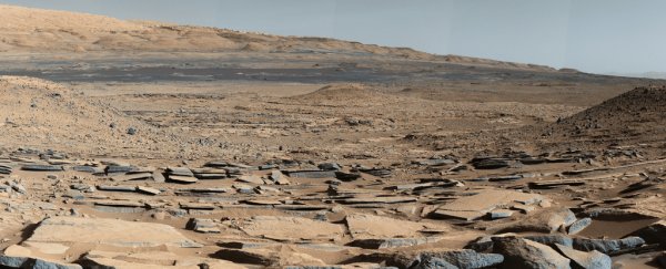 Curiosity has sent back images of the perfect spot to search for evidence of life on Mars