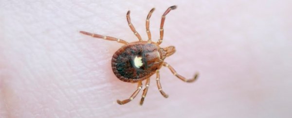 A man went to the optometrist with an irritated eye. The doctor found a tick