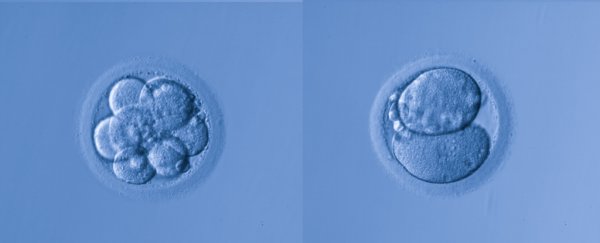 Russian scientist says 5 couples have agreed to gene-editing babies to avoid deafness