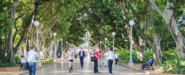 Mounting evidence says trees - but not grass - improve our mental health. Here's why