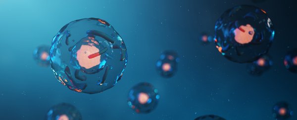 Scientists have built synthetic cells that react to external cues, just like real ones