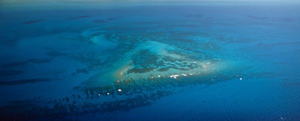 There's another thing killing the coral reefs, and we can actually fix this problem
