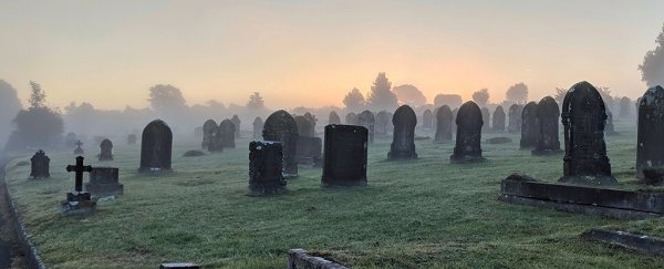 Experts are proposing a new, slightly creepy way of burying our dead