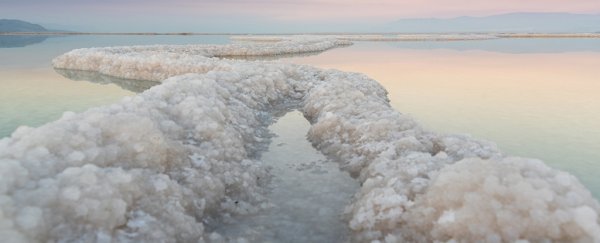 Mystery of bizarre salt crystals in the Dead Sea could finally be solved