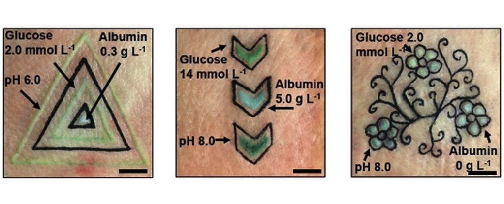 These Incredible Real Tattoos Change Colour as Biomarkers Like Glucose Levels Shift : ScienceAlert