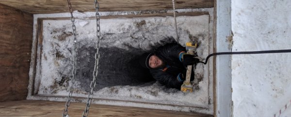 Life has been found thriving in ancient seawater trapped below Alaska's permafrost