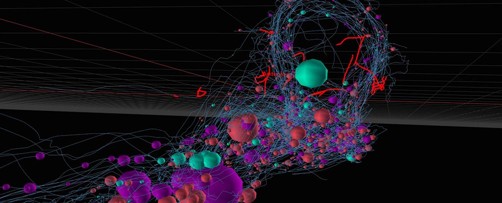 Scientists Have Finally Mapped The Entire Nervous System of a Model Organism - ScienceAlert thumbnail