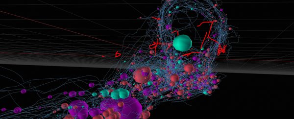 Scientists have finally mapped the entire nervous system of a model organism