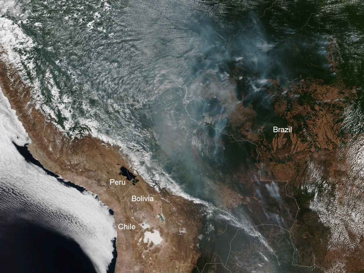 Amazon Rain forest Fire- The lungs of our planet is burning!