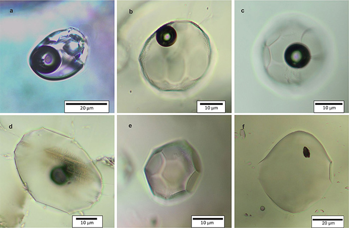 olivine inclusions body image