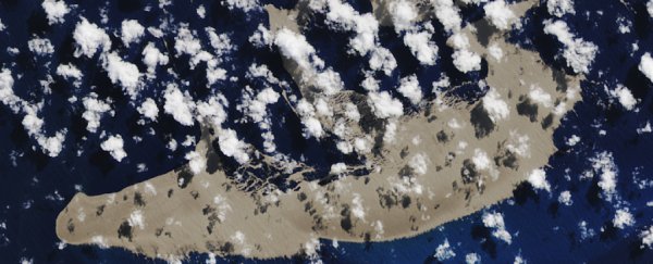 A massive raft of volcanic rock is floating towards Australia, and that's good news