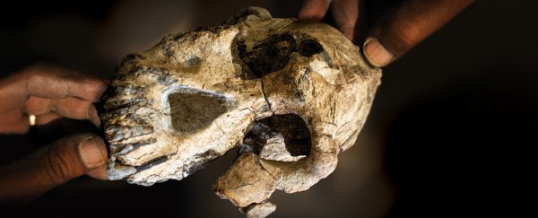 We've finally uncovered the face of one of our most elusive early human ancestors