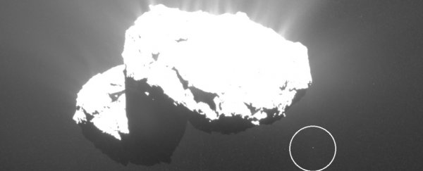 We've just discovered comet 67P has its own little 'Churymoon', and it's so cute