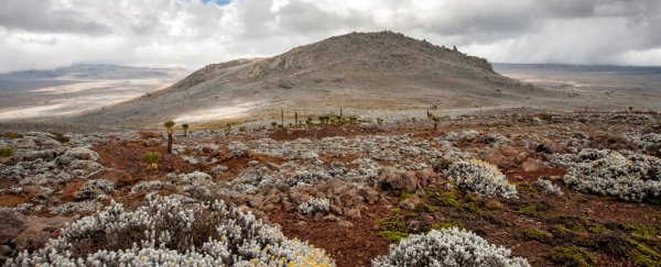 Oldest known high-altitude human settlement has been discovered in Ethiopia