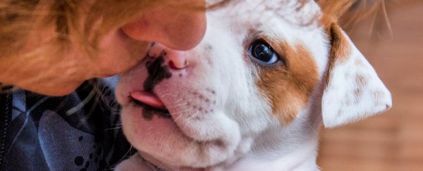 A woman had her arms partially amputated after her dog licked her wounds