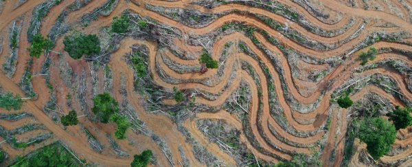 Massive UN report outlines how we can change our food supply to save the climate