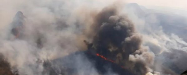 It's not just Brazil's Amazon - Bolivia's vital forests are burning out of control, too