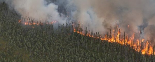 Wildfires are turning important northern carbon sinks into major emitters