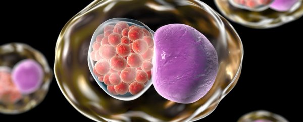 We just got closer than ever to a working chlamydia vaccine