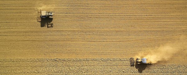 Over 250 archaeologists show evidence humans 'transformed' Earth long before 1900s