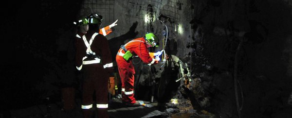 Scientists Discover Microbial Life 2.4 Km Underground in Depths of a Canadian Mine