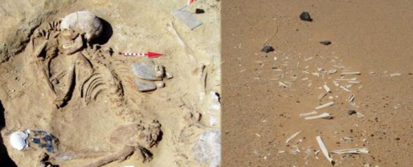 Archaeologists Shed Light on Mysterious Neolithic Society Behind Rise of Ancient Egypt