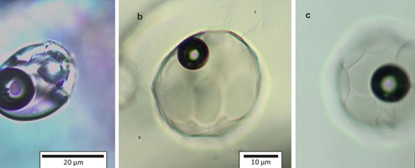 Ancient water drops may have just changed the timeline of Earth's plate tectonics