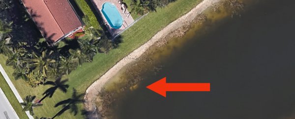 Florida man's body discovered by accident 22 years later using images from space
