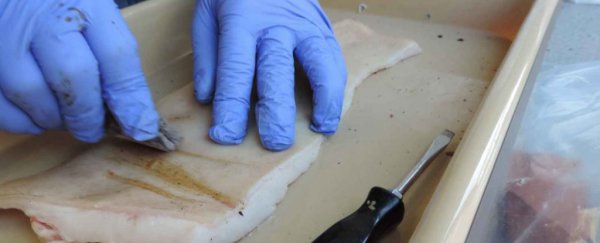 Scientists have built knives out of human poop to test whether they work