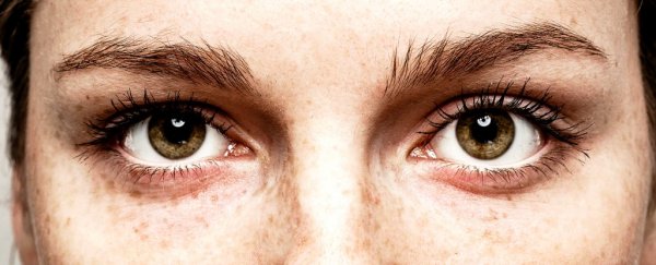 Staring into someone's eyes for 10 minutes can induce altered state of consciousness