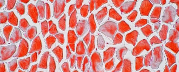 Bizarre Discovery Shows Your Bones Could Be Triggering the 'Fight-Or-Flight' Response