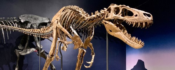 T. rex really could crush a car in its jaws, without damaging its own skull