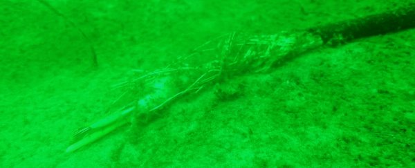 An Entire Scientific Observatory At The Bottom of The Ocean Mysteriously Vanished