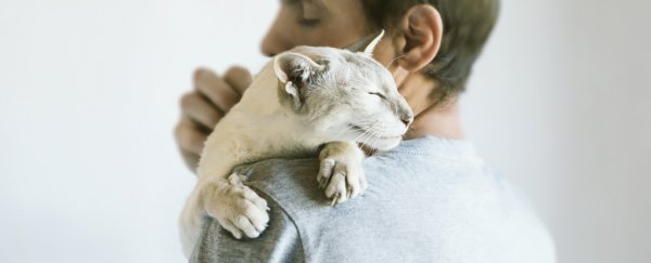 Cats do bond securely to their humans - maybe even more so than dogs