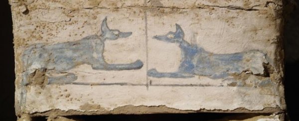 An eerie Egyptian burial has been found, with nonsense hieroglyphs on the coffin