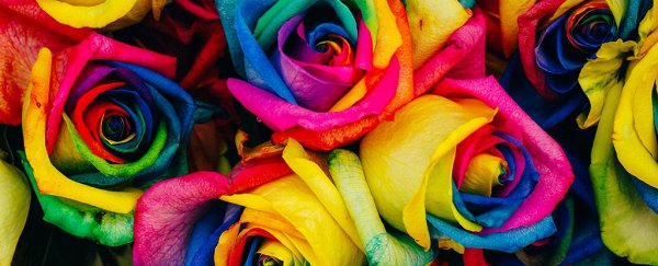Unique case of a stroke patient just changed our understanding of colour perception