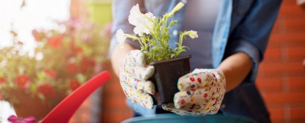 Here's the scientific reason doctors are prescribing gardening for mental health