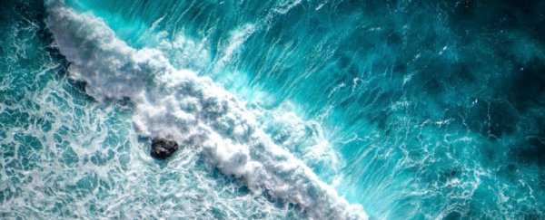 UN report on Earth's oceans confirms the catastrophe is already unfolding around us