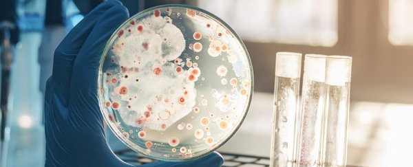 Report: There's a "real threat" of a pandemic that could kill up to 80 million people