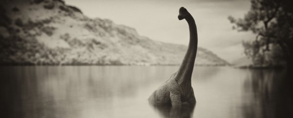 Eel DNA has been discovered in Loch Ness. Here's why that might be a clue