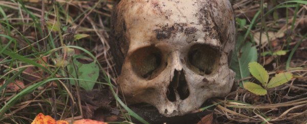 Dead bodies keep moving for more than a year after death, forensic scientist finds